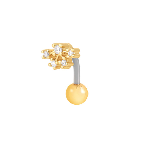 Gold, Curved Barbell Piercing